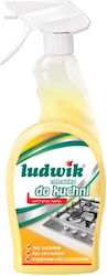Ludwik Cleaner Scraper 750ml 1pcs Ludwik Cleaner Scraper 750ml 1pcs