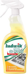 Ludwik Detergent Unsoare 750ml 1buc Ludwik Detergent Unsoare 750ml 1buc