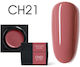 Canni Gel Falsche Nagelgel CH21 5gr