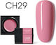 Canni Gel Falsche Nagelgel CH29 5gr