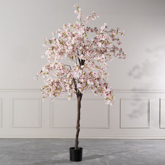 Cherry Outdoor Tree Pink Supergreens Cherry Outdoor Tree Pink Supergreens