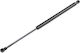 Trunk Shock Toyota Corolla 2002-2007 Combi 434mm/585n Orig.68950-02080 Nty 1 Pc Nty Ae-ty-005/aj