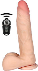 Vibrator