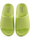 Frauen Flip Flops in Grün Farbe