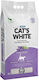 Cat's White Άμμος Γάτας Μπετονίτης με Άρωμα Λεβάντα 5lt