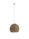 Jolipa Pendant Light Single-Light Brown