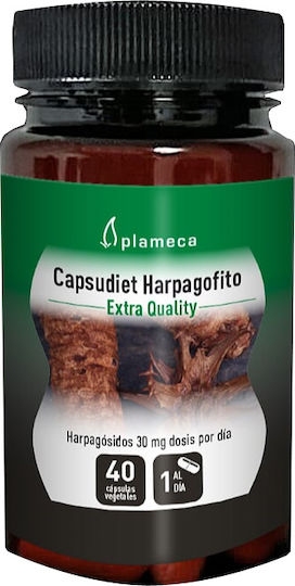 Plameca Capsudiet Harpagofito 600mg Συμπλήρωμα για την Υγεία των Αρθρώσεων 40 φυτικές κάψουλες