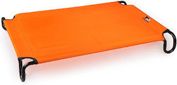 All For Paws Orange