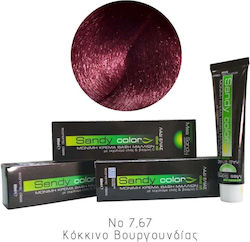 Miss Sandy No 7,67 Червено Бургундско Miss Sandy No 7,67 Червено Бургундско
