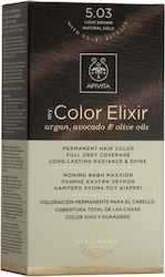 Apivita My Color Elixir Σετ Βαφή Μαλλιών Χωρίς Αμμωνία 5.03 Καστανό Ανοιχτό Φυσικό Μελί 50ml