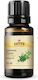 Sattva Bio Ätherisches Öl Thymian 10ml
