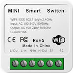 Intermediate Switch