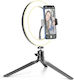 Cellular Line SELFIERINGK Ring Light 8.5cm