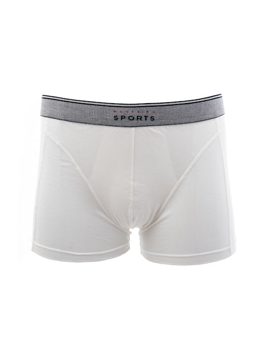 Palco Herren Boxershorts Weiß 1Packung