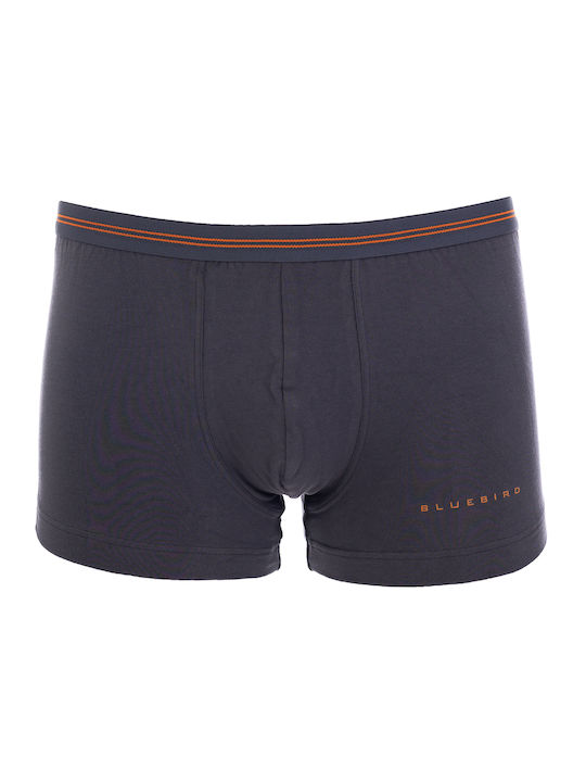 Palco Herren Boxershorts Gray 1Packung