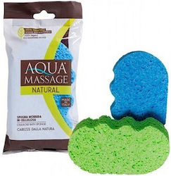 Assim Sponge 1pcs