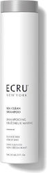 Ecru New York Sea Clean Sampon de par 240ml Ecru New York Sea Clean Sampon de par 240ml