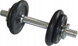 Schildkrot Dumbbell 1x10kg