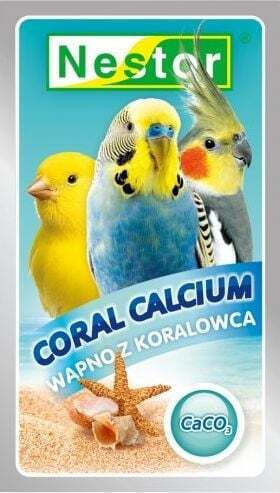 Nestor Nestor Lim Coral Waters Birds Food