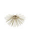 Zuma Line Ceiling Mount Light Gold with Socket G9