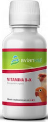 Avianvet Vitamin B+k Vitamin Complex B K Bird Health Restoration B+k 100ml Avianvet