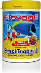 Elevage Flakes Tropical Fish Food