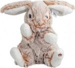 Plush Bunny 21 cm