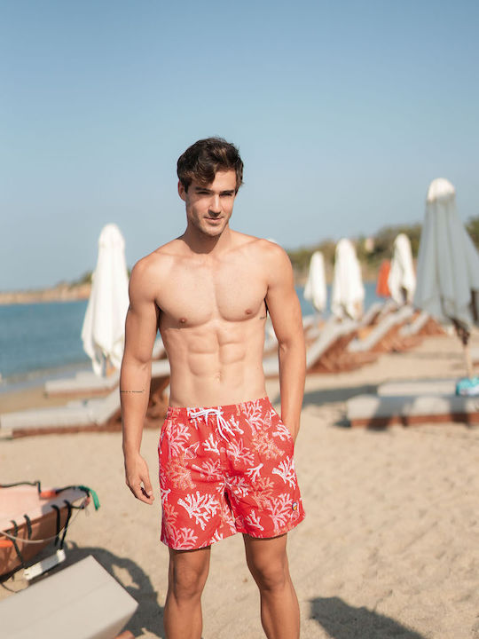 Solano Swimwear Solano Swimwear