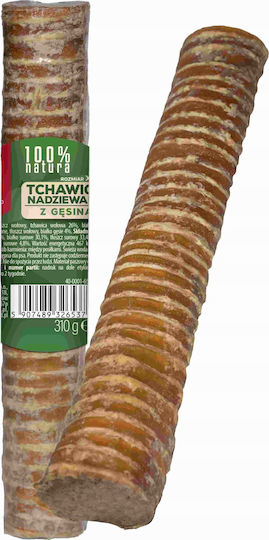 Maced Κόκκαλο για Σκύλους από Βοδινό Large 150gr