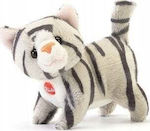 Trudi Plush Cat Brad