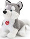 Trudi Trudi Welpe Husky M