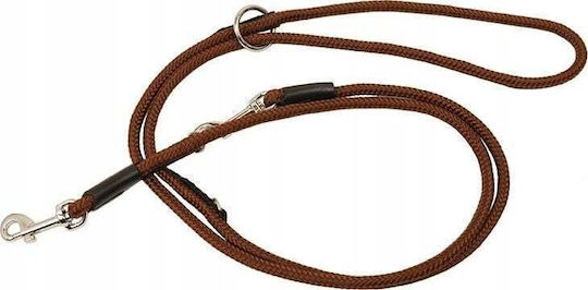 Dino Dog Leash/Lead Strap in Brown color