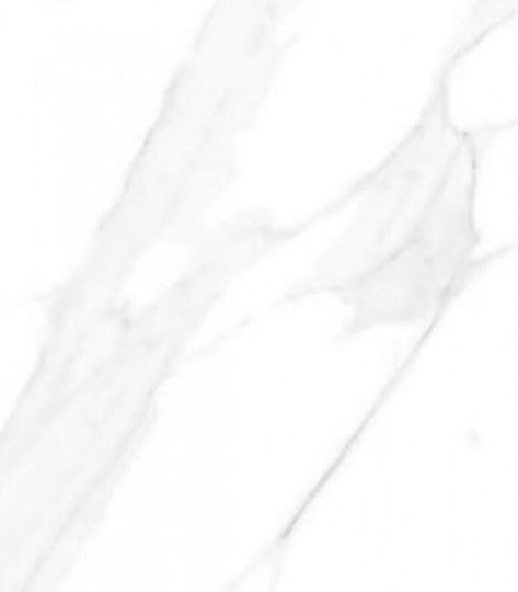 Porcelanato Fliese Boden Innenbereich 60x60cm Bianco