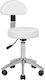 Activeshop Wheeled Stool with Backrest 22cm White