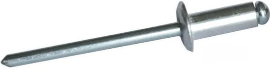 Dedra Aluminum Rivet 4.8/12.5mm 50pcs