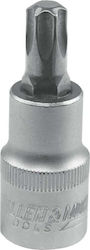 Dedra Καρυδάκι με Μύτη Torx και Καρέ Υποδοχής 1/2'' Μέγεθος T70