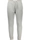 Sweatpants with Elastic Gray