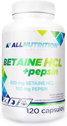 AllNutrition Betain HCL + Pepsin 120 caps