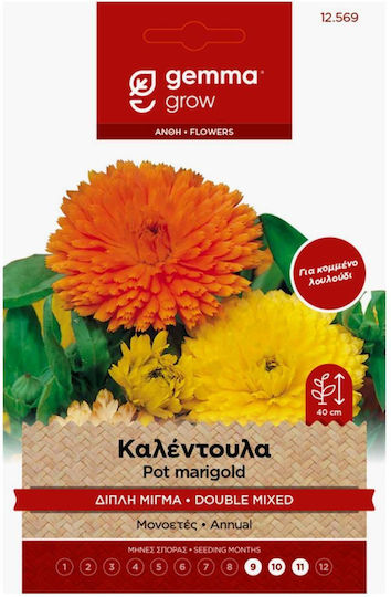 Gemma Seeds Calendulaς Multicolour