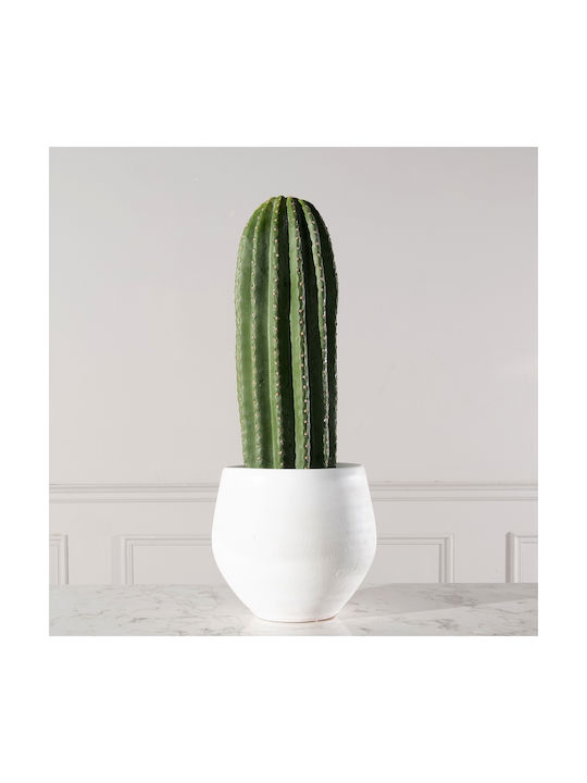 Κάκτος σε Γλάστρα 60cm Supergreens