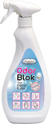 Ready Ειδικό Καθαριστικό σε Spray 750ml ODORBLOK/750ML