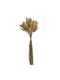 Dried Plant White 1pcs