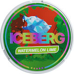 Iceberg 1Stück