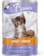 Plaisir Wet Food for Young Cats in Pouches with Chicken 100gr