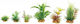 Zolux Plant Decorations Mix 6pcs Set 2 352131