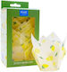 PME Caramel Papers for Cupcakes Paper 10x10cm 24pcs