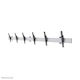 Neomounts Wall Mounted Stand for 3 Monitors up to 55" (NMPRO-WMB3)