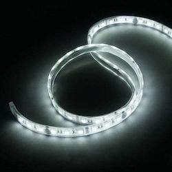 Lamptron LED Strip LAMP-LEDFM1003 Lamptron LED Strip LAMP-LEDFM1003