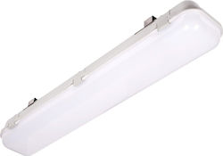 Σκαφάκι με Ενσωματωμένο LED