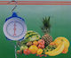 Professional Hanging Scale with Weighing Capacity of 100kg and Division 1000gr
